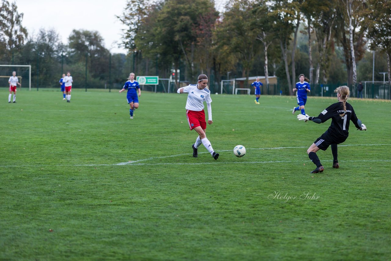 Bild 267 - B-Juniorinnen Hamburger SV - FC Neubrandenburg 04 : Ergebnis: 3:1